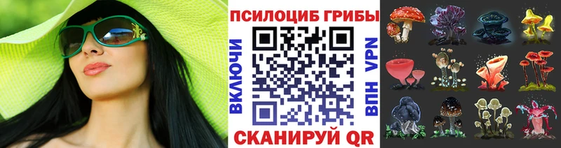 hydra как зайти  Глазов  Псилоцибиновые грибы Psilocybe 